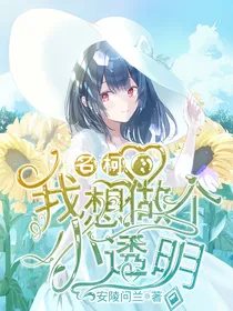 名柯：我想做个小透明