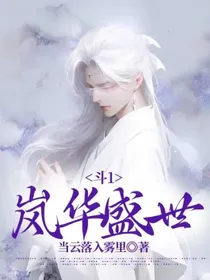 斗1：岚华盛世