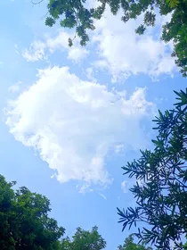 快穿之主神为什么要喜欢我？！