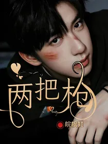（已完结）两把枪