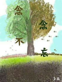 念念不惘