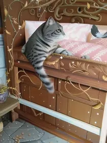 猫武士（穿越）