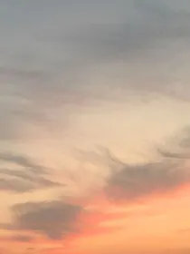 莎莎的爱情