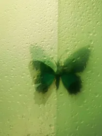 红楼梦：独宠林妹妹