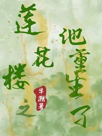 莲花楼之他重生了