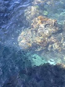 海的末日