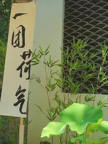 记江南