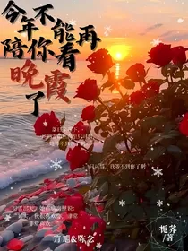 今年不能再陪你看晚霞了