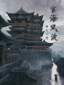 神兵小将之宦海风波