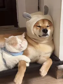 不听话的你