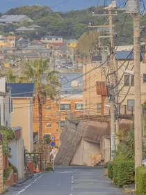 浔桑