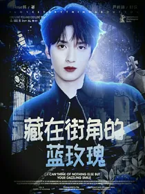 TNT：藏在街角的蓝玫瑰