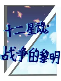 十二星魂之后续
