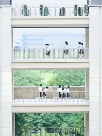 随笔篇：关于我担和我推