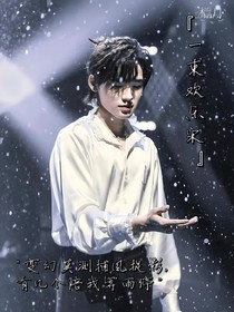 一束欢乐宋