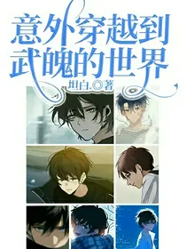 意外穿越到武魄的世界
