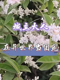 城主大人在异世界当团宠