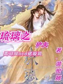 琉璃之护夫