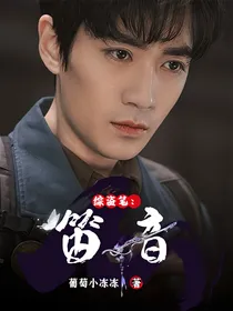 综盗笔：笛音