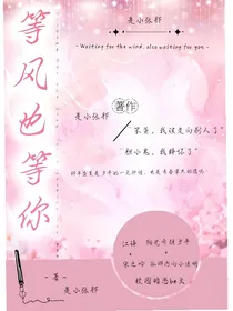 等风也等你（括号内不算书名）