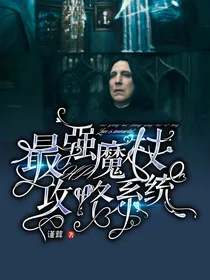 HP：最强魔杖攻略系统
