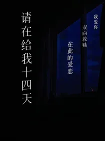 请在给我十四天