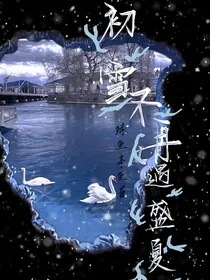 初雪不再遇盛夏