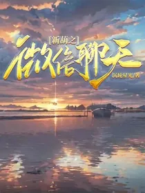新葫之微信聊天