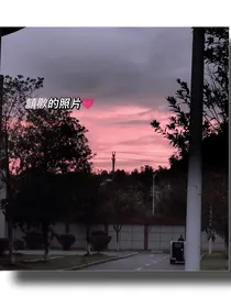 柒柒的追星铺子