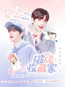 韩娱：破碎收藏家