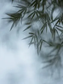 许千与秋乐
