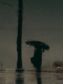 雨夜白衔