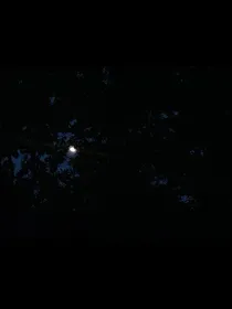 黑夜中的黎明——YL
