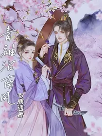 青袖沾南风之王妃不好惹