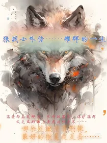 狼战士外传……耀辉的一生