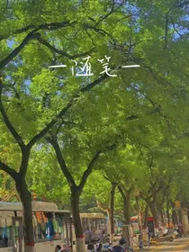 随笔系列……1