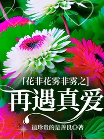 花非花雾非雾之再遇真爱