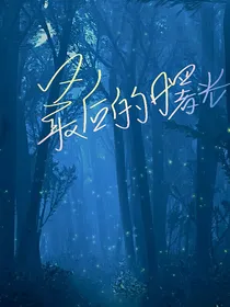 斗龙战士之最后的曙光