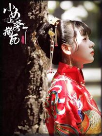 穿进小女上房揭瓦