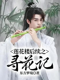 莲花楼后续之寻花记