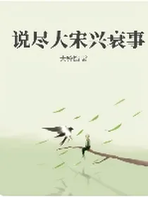 说尽大宋兴衰事