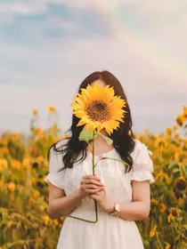 暗葵