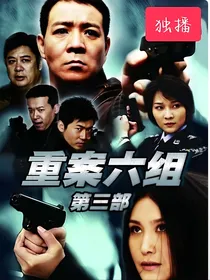 重案六组3