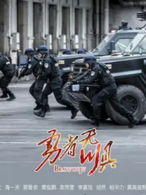 勇者无惧2