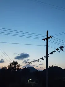 校园爱恋小故事