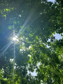 夏末告白