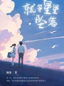 就等星星坠落