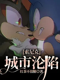 索尼克：城市沦陷