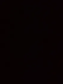 晨羽：囚