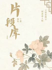 片段库